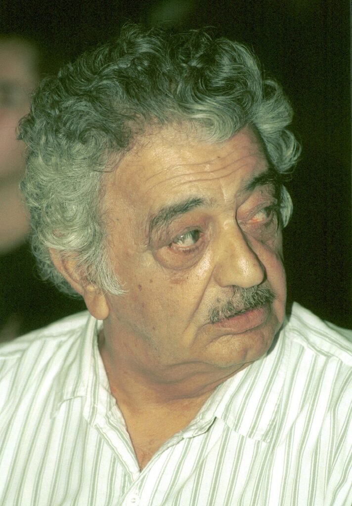 Emil Habibi